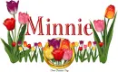 Tulips Minnie