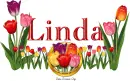 Tulips Linda