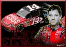 tony stewart