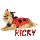 Nicky 