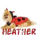 Heather