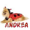 Andrea