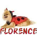 Florence