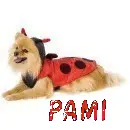 Pami