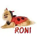 Roni