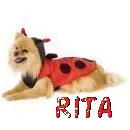 Rita