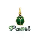 Pami