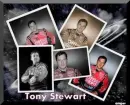 tony stewart