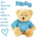 Nicky Bear