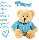 Tara Bear