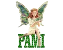 PAMI