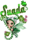 Suada
