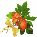 Orange flower