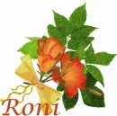 Roni