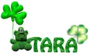 shamrock teddy Tara