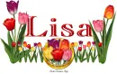 Lisa Tulips