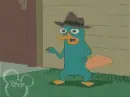 phineas & ferb - perry the platypus