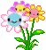 âœ¿Fâ„“ÃµweÑsâœ¿