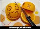 food drama7