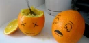 food drama8
