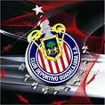 chivas