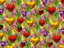 BEAUTIFUL HEART FLOWERS