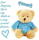Tammy Bear