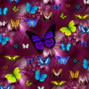 PRETTY BUTTERFLIES