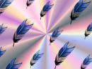 BEAUTIFUL FEATHERS