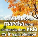 marcha atras