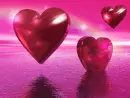 LOVE HEARTS