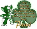 Pami - stpatsday