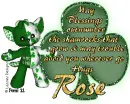 Rose