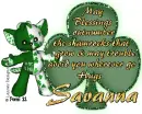 Savanna