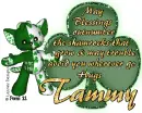 Tammy