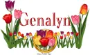 Tulips Genalyn