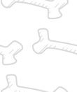 bones
