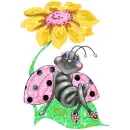 lady bug