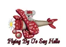 Flying By To Say Hello