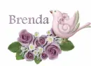 brenda