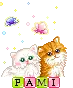 Pami Cats