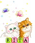 Rita Cats
