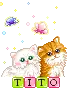 Tito Cats