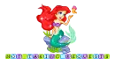 Not Taking Requests Ariel