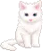 Cute Kitty:3