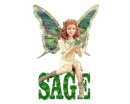 SAGE