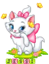 Jessi Marie Kitty
