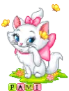 Pami Maire Kitty