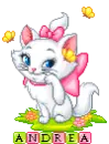 Andrea Marie Kitty