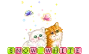 Snow White Cats
